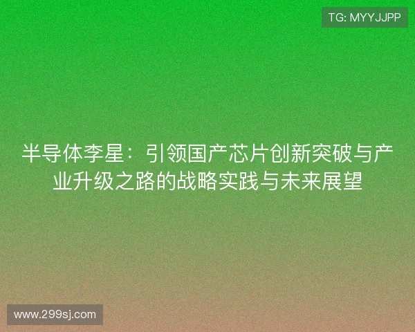 半导体李星:引领国产芯片创新突破与产业升级之路的战略实践与未来展望